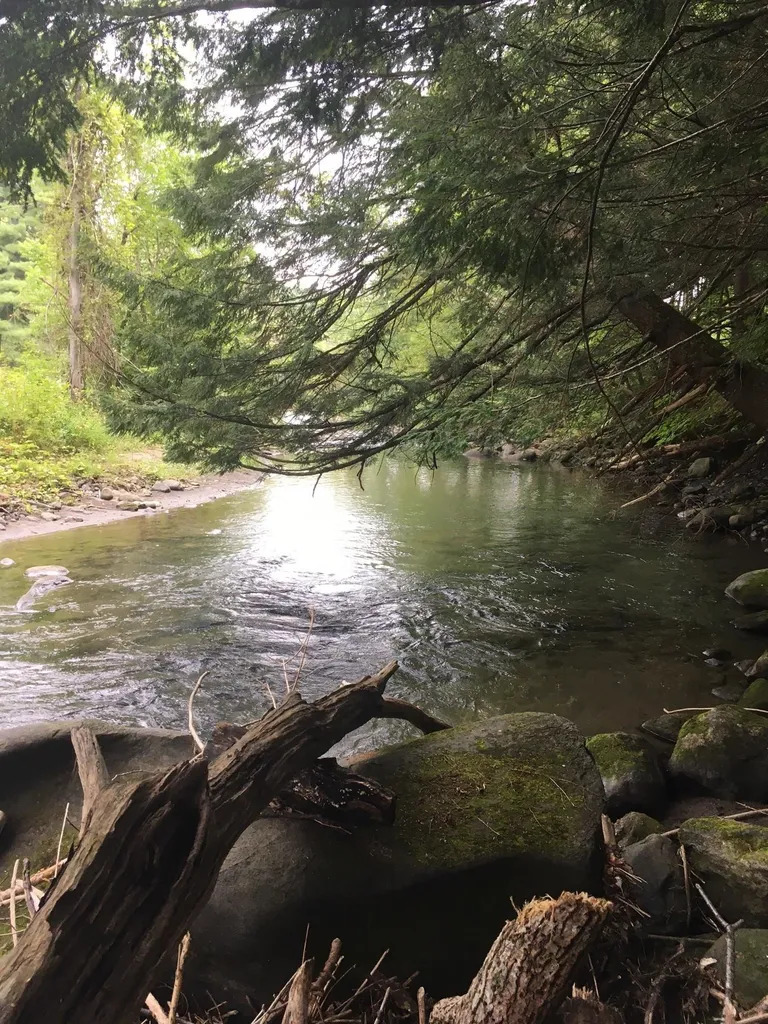 29 Mine Road Strafford VT 05070