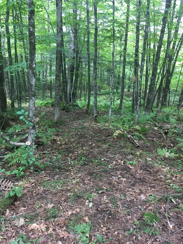 29 Mine Road Strafford VT 05070