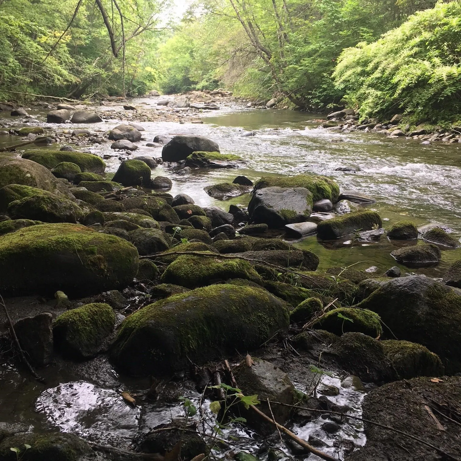29 Mine Road Strafford VT 05070
