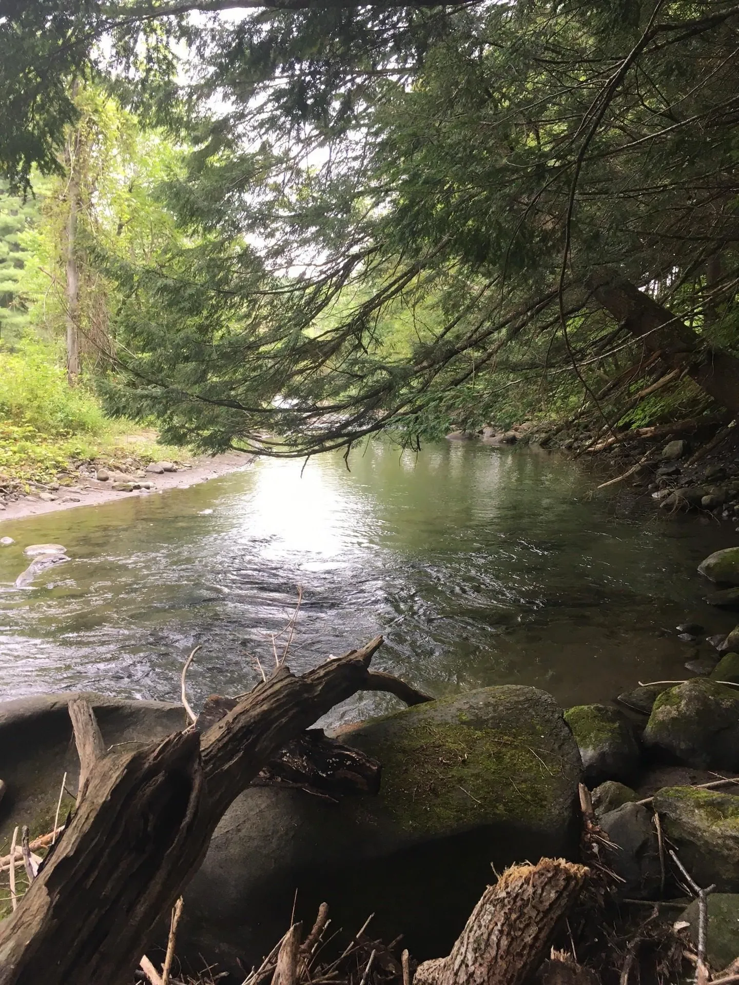 29 Mine Road Strafford VT 05070