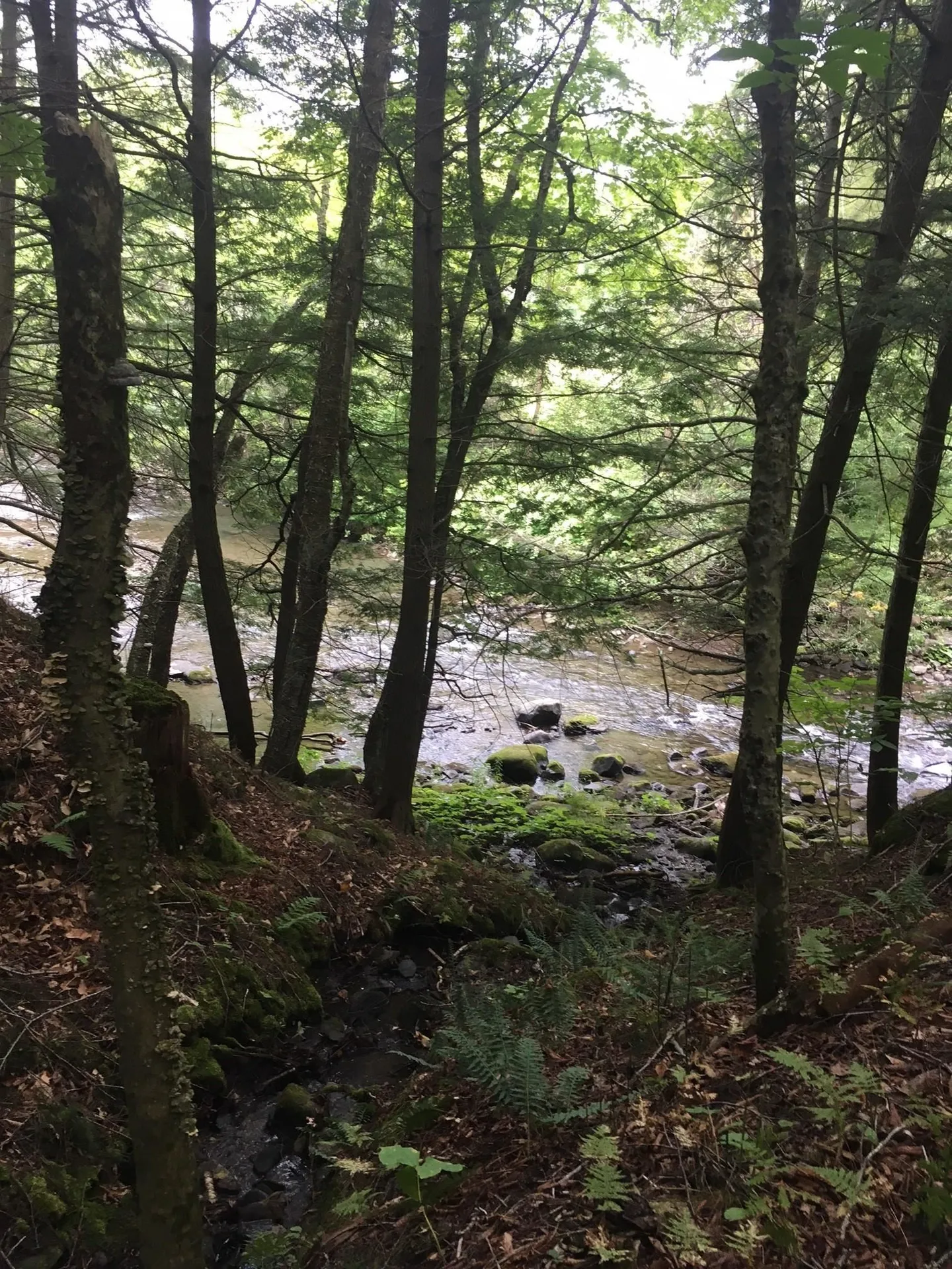 29 Mine Road Strafford VT 05070