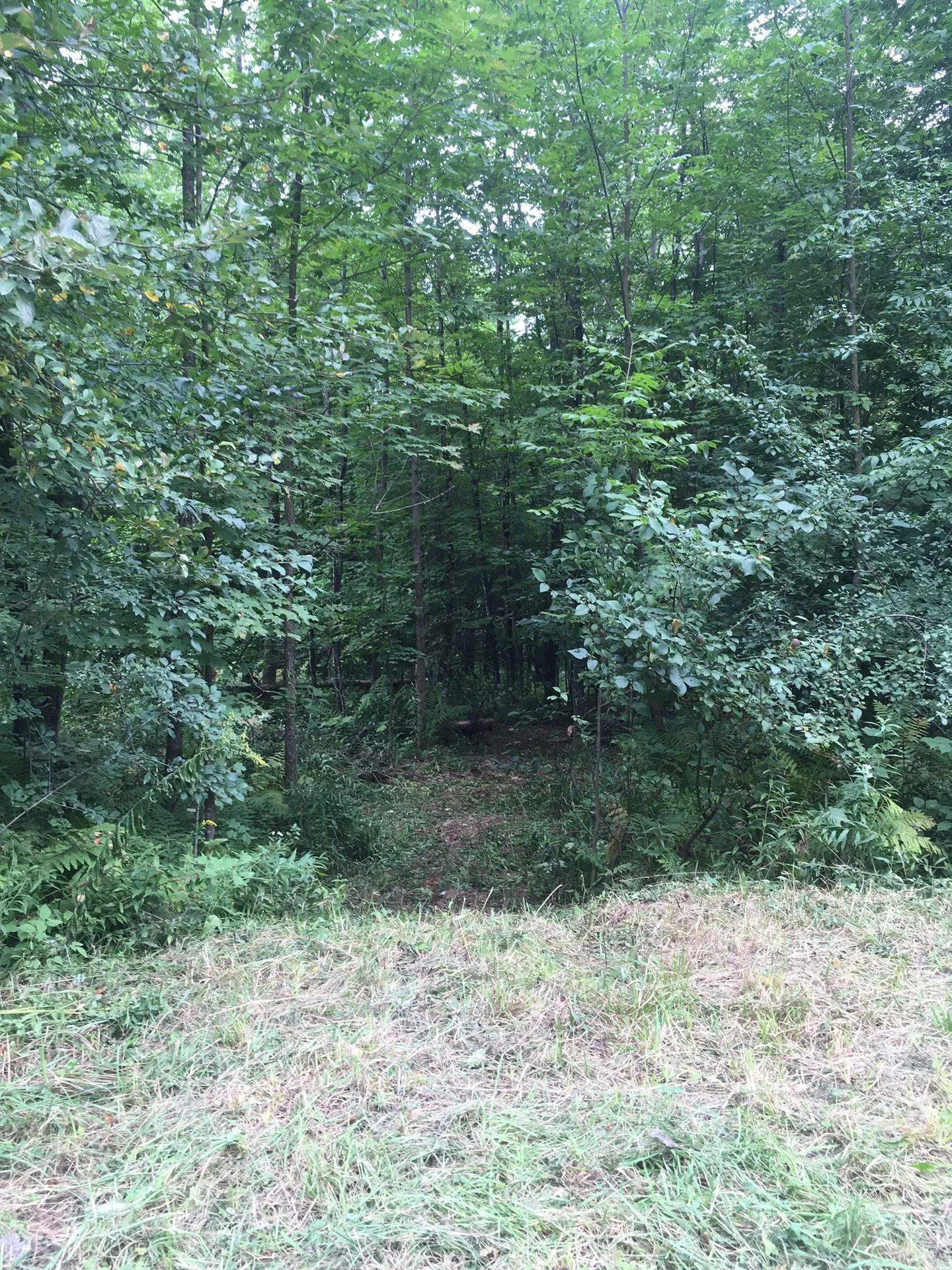 29 Mine Road Strafford VT 05070