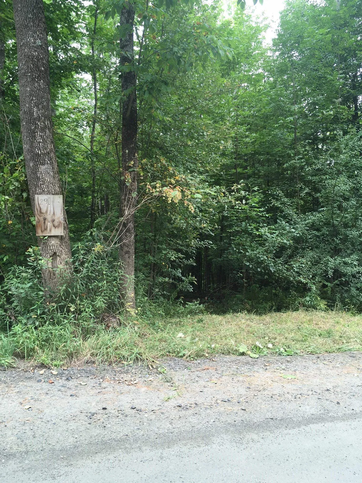 29 Mine Road Strafford VT 05070