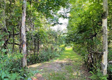 39 Pineapple Place Barnet VT 05821