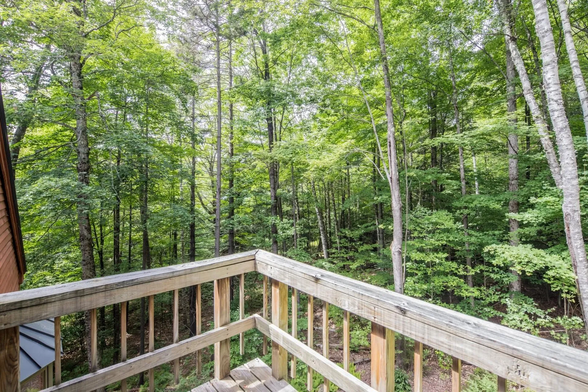 677 Tweed River Drive Stockbridge VT 05772