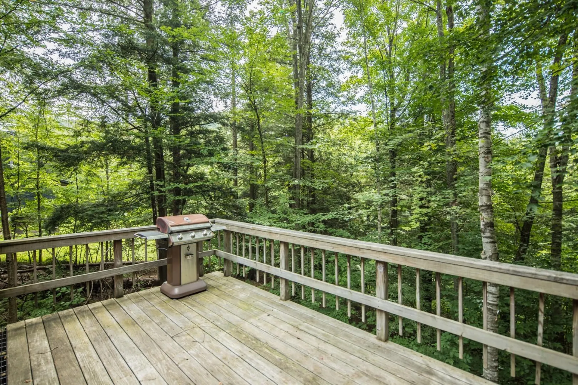 677 Tweed River Drive Stockbridge VT 05772