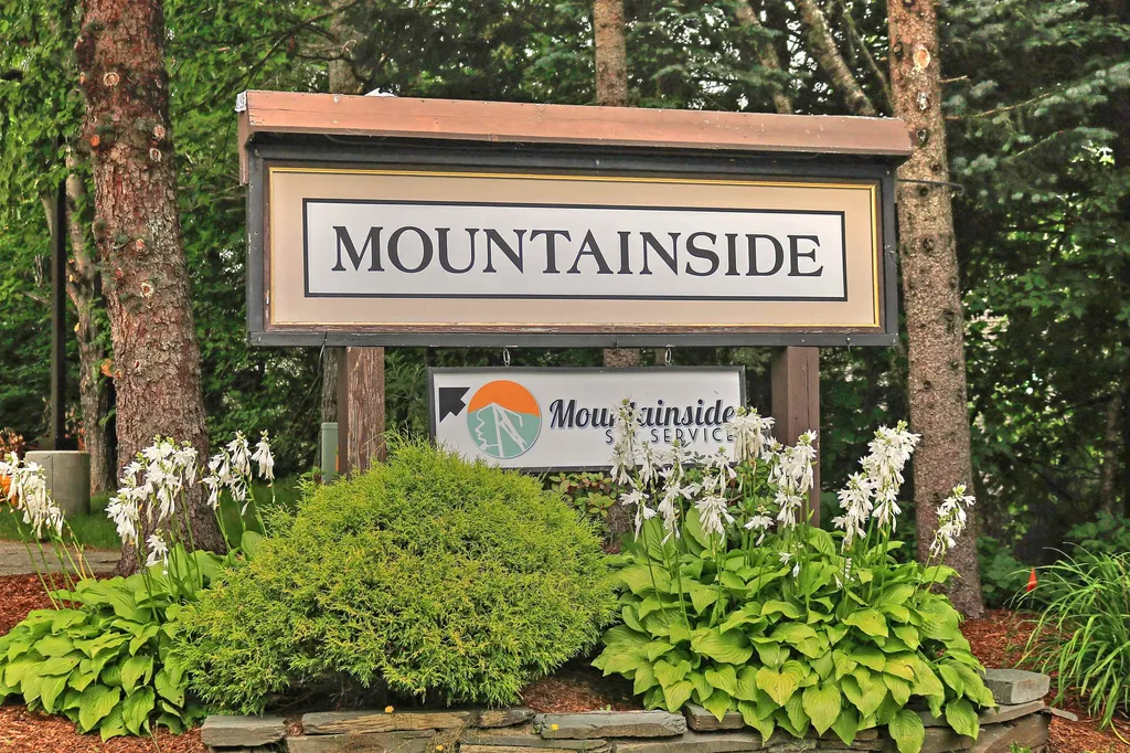 251 Mountainside Drive Warren VT 05674