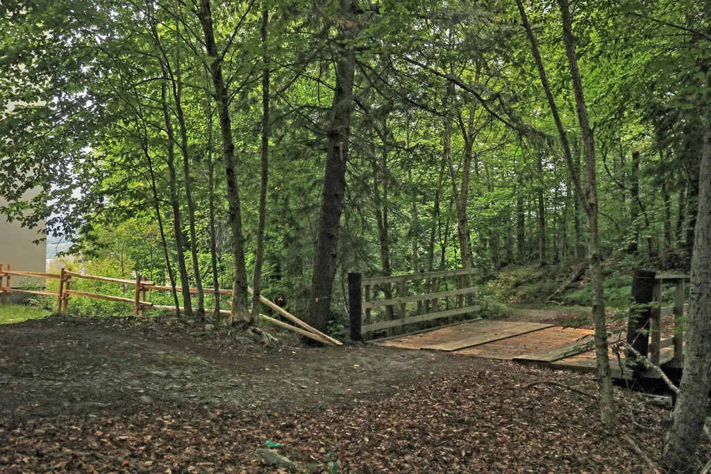 251 Mountainside Drive Warren VT 05674