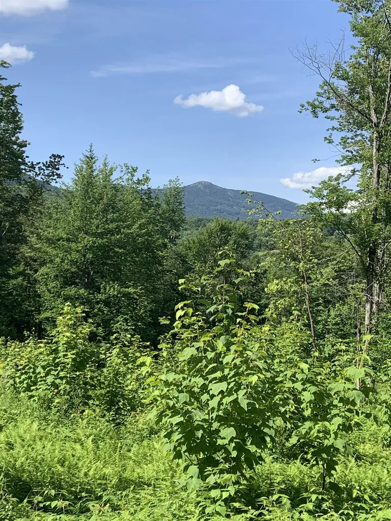 00 Leland Farm Road Middlesex VT 05602