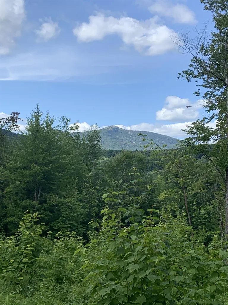 00 Leland Farm Road Middlesex VT 05602