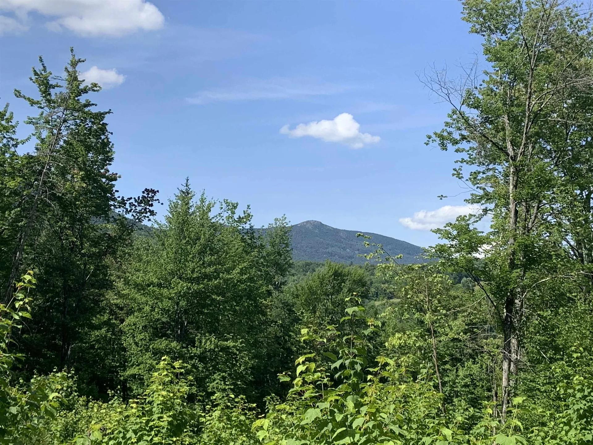 00 Leland Farm Road Middlesex VT 05602