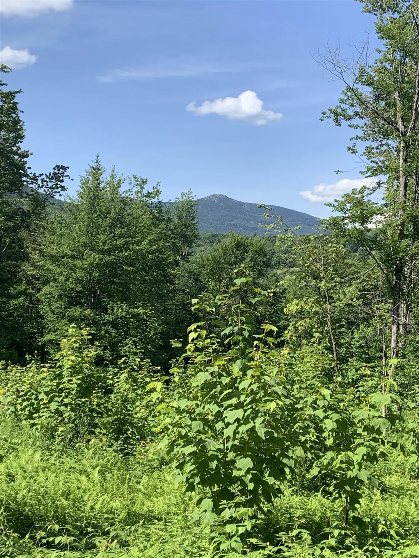 00 Leland Farm Road Middlesex VT 05602