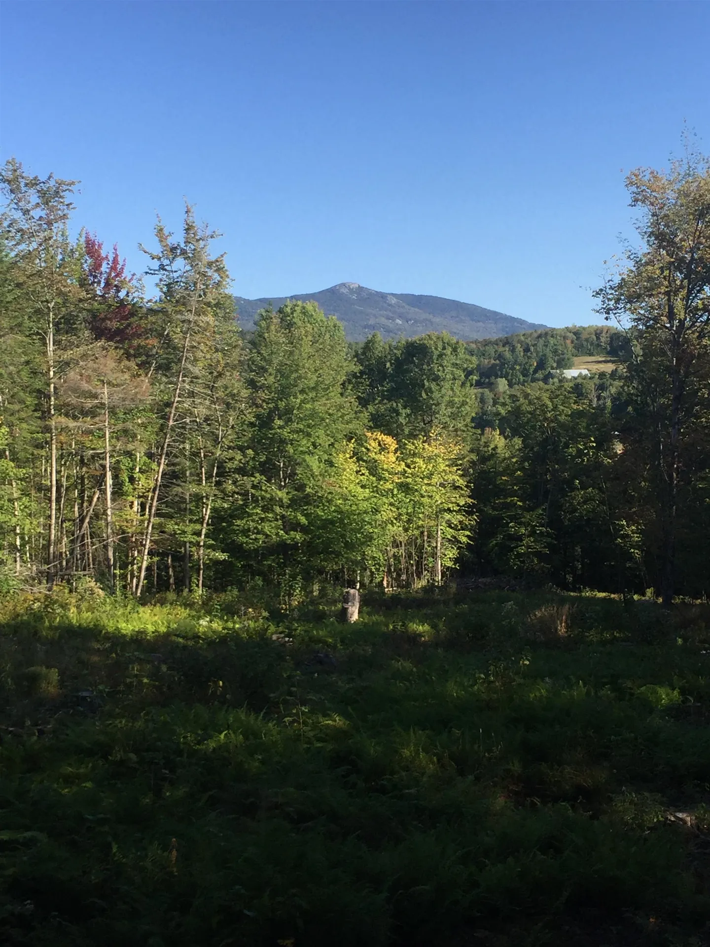 00 Leland Farm Road Middlesex VT 05602