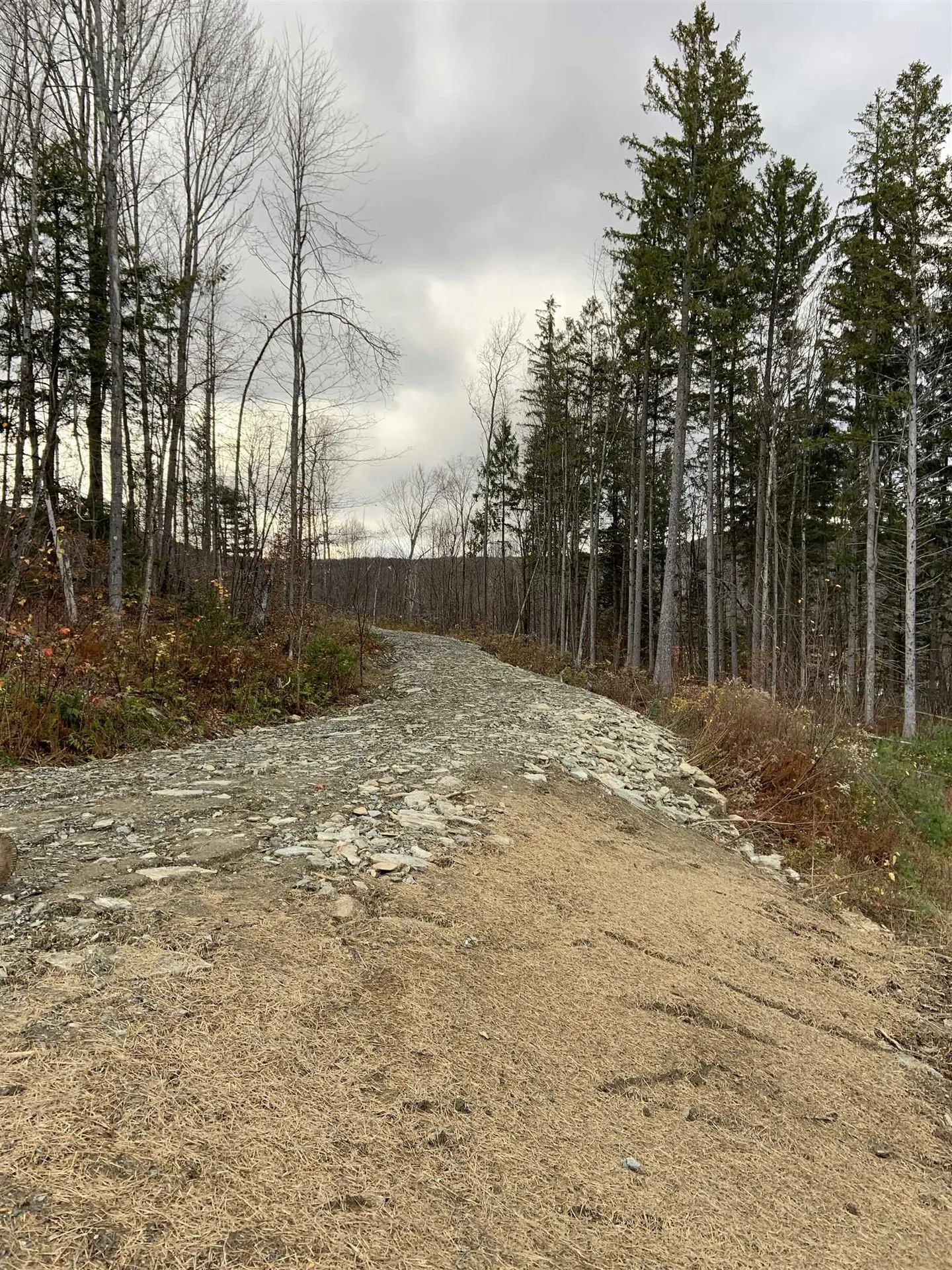 00 Leland Farm Road Middlesex VT 05602