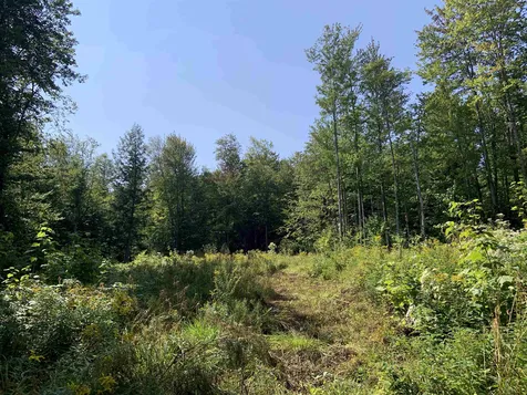 00 Leland Farm Road Middlesex VT 05602