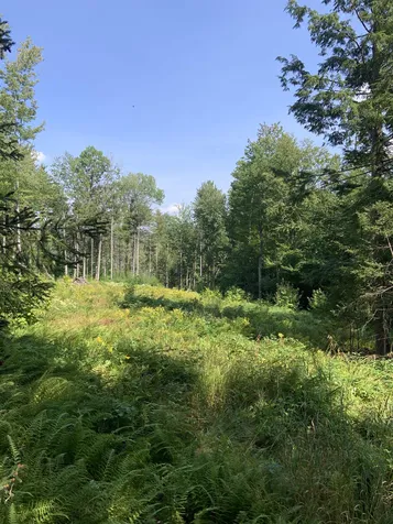 00 Leland Farm Road Middlesex VT 05602