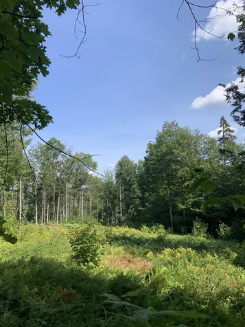 00 Leland Farm Road Middlesex VT 05602