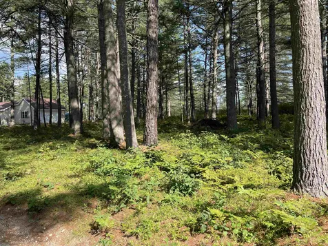 16 Red Baron Road Ossipee NH 03890