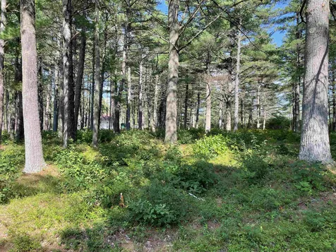 16 Red Baron Road Ossipee NH 03890