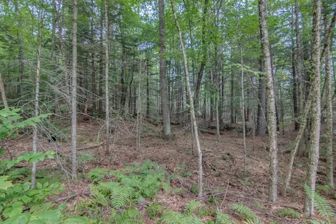 34 Horse Pasture Lane Thornton NH 03285