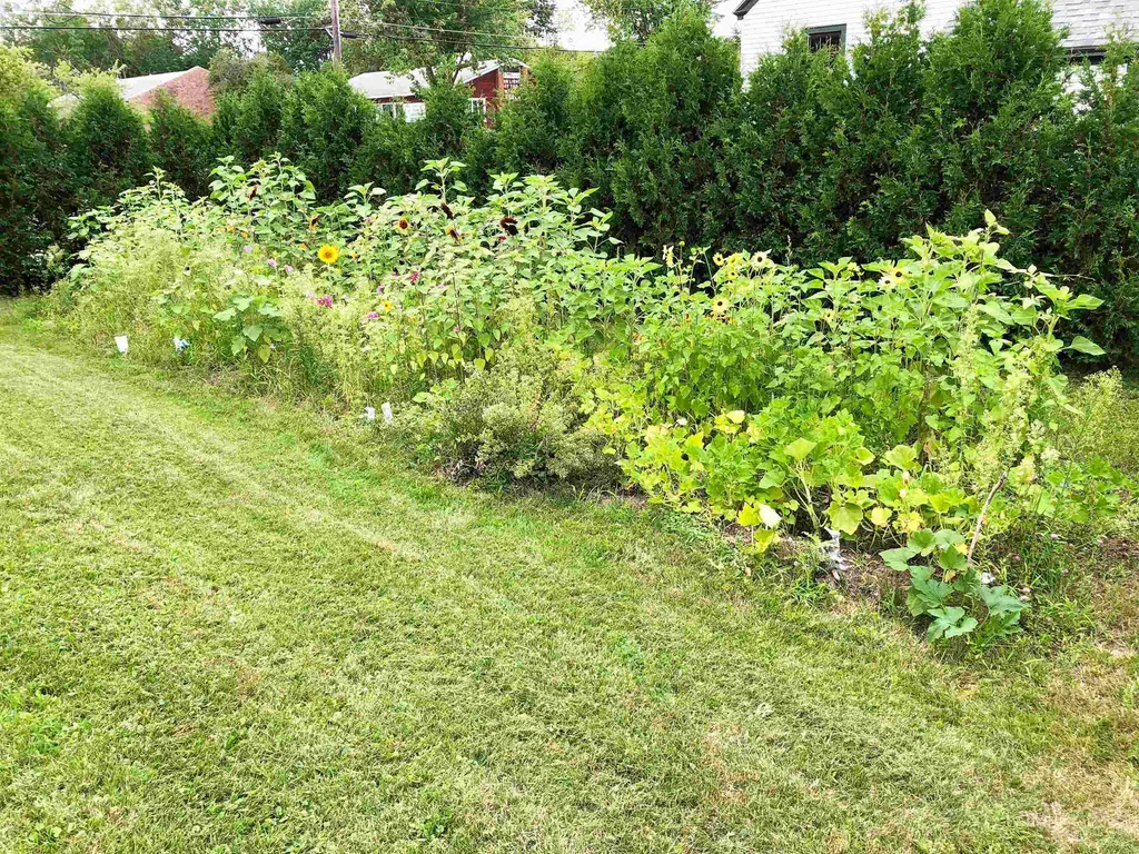 50 Patchen Road South Burlington VT 05403