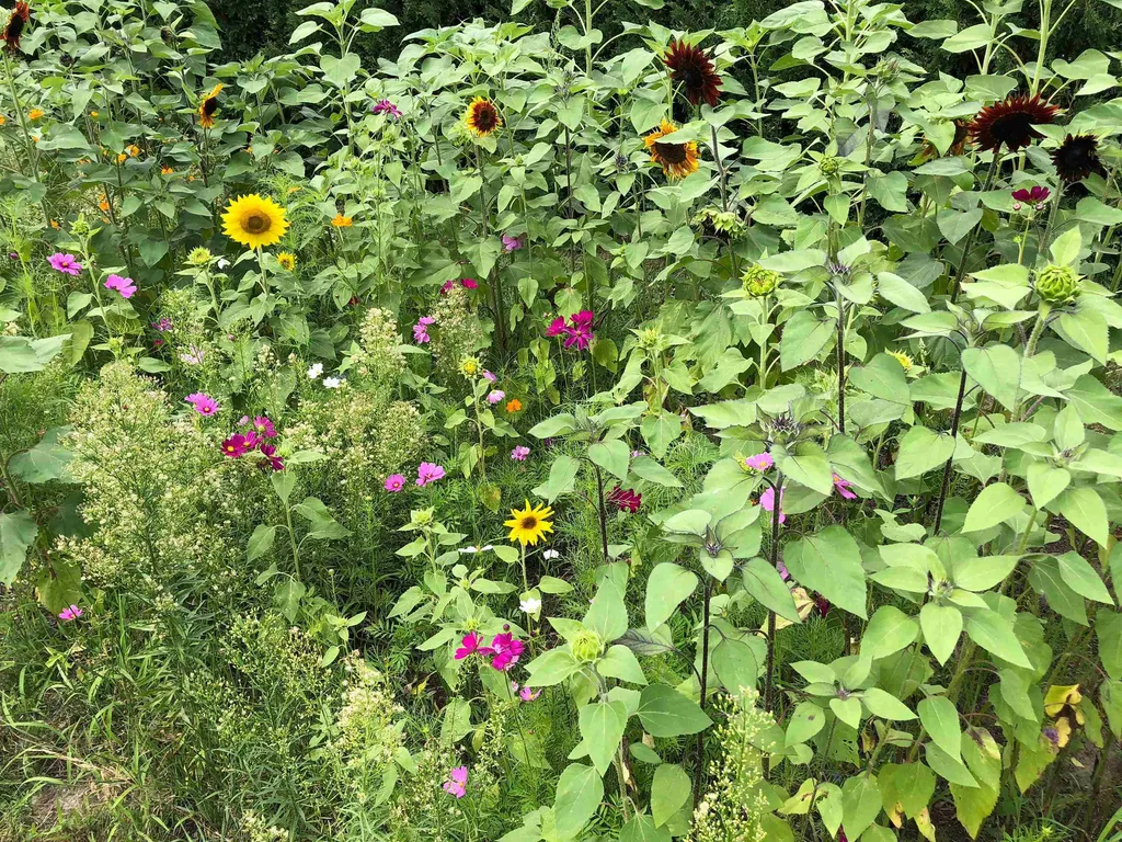50 Patchen Road South Burlington VT 05403