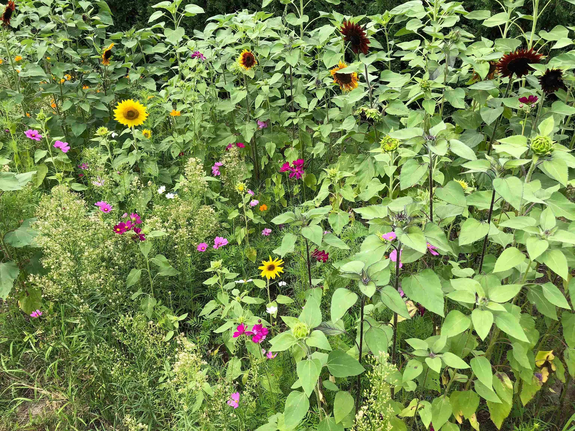 50 Patchen Road South Burlington VT 05403