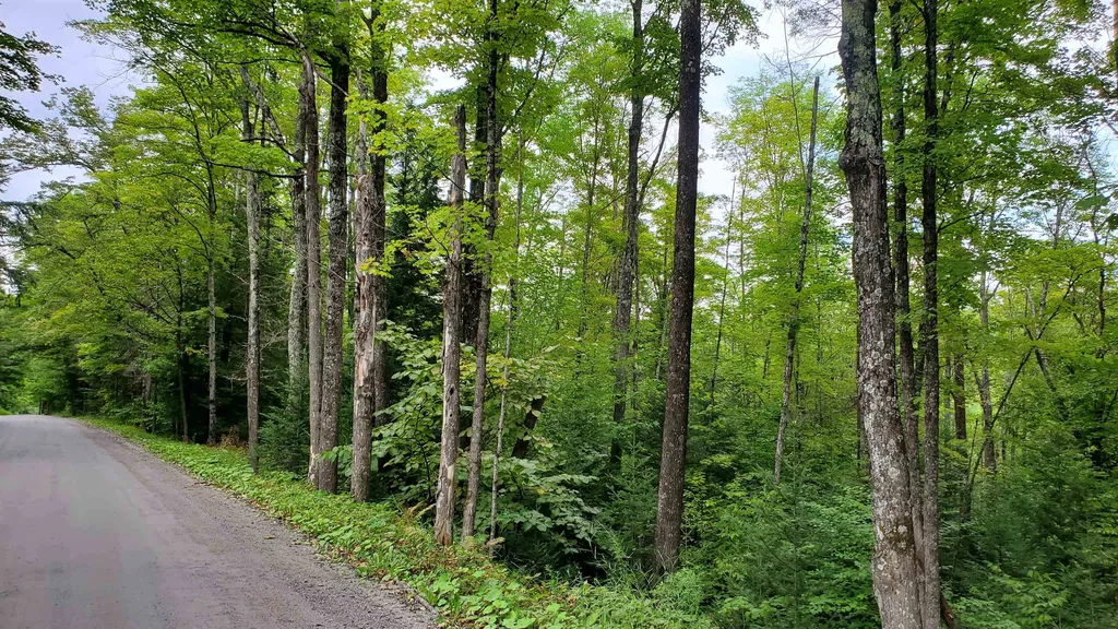 00 Brook Road Chelsea VT 05038