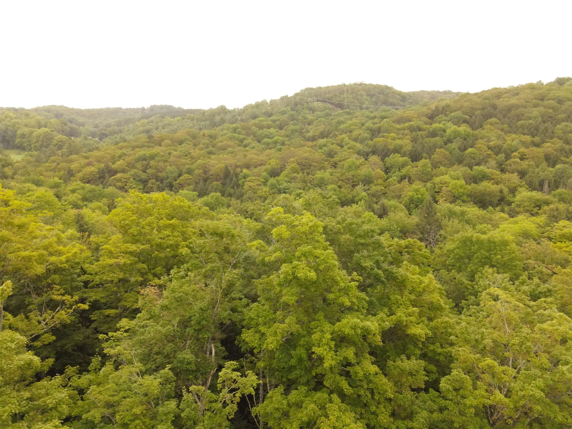 00 Brook Road Chelsea VT 05038