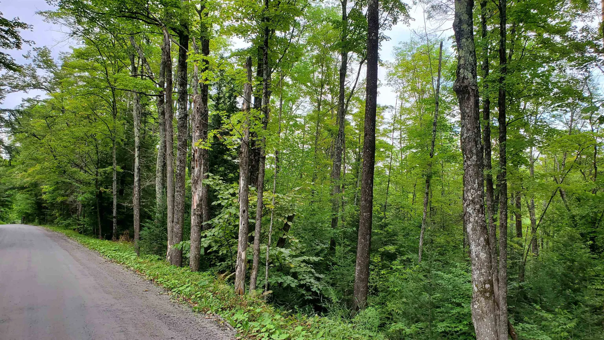 00 Brook Road Chelsea VT 05038