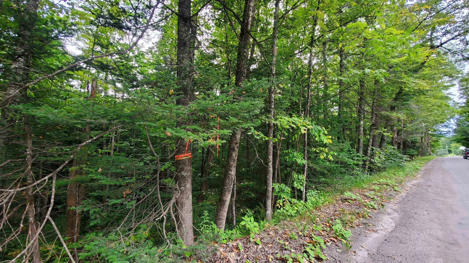 00 Brook Road Chelsea VT 05038