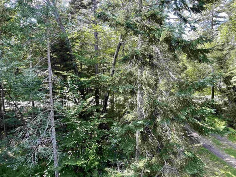 330 Ashuelot Drive Washington NH 03280