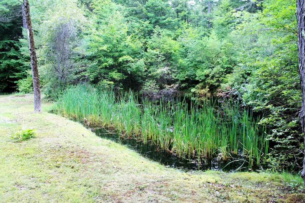 28 Shelley Lane New Boston NH 03070