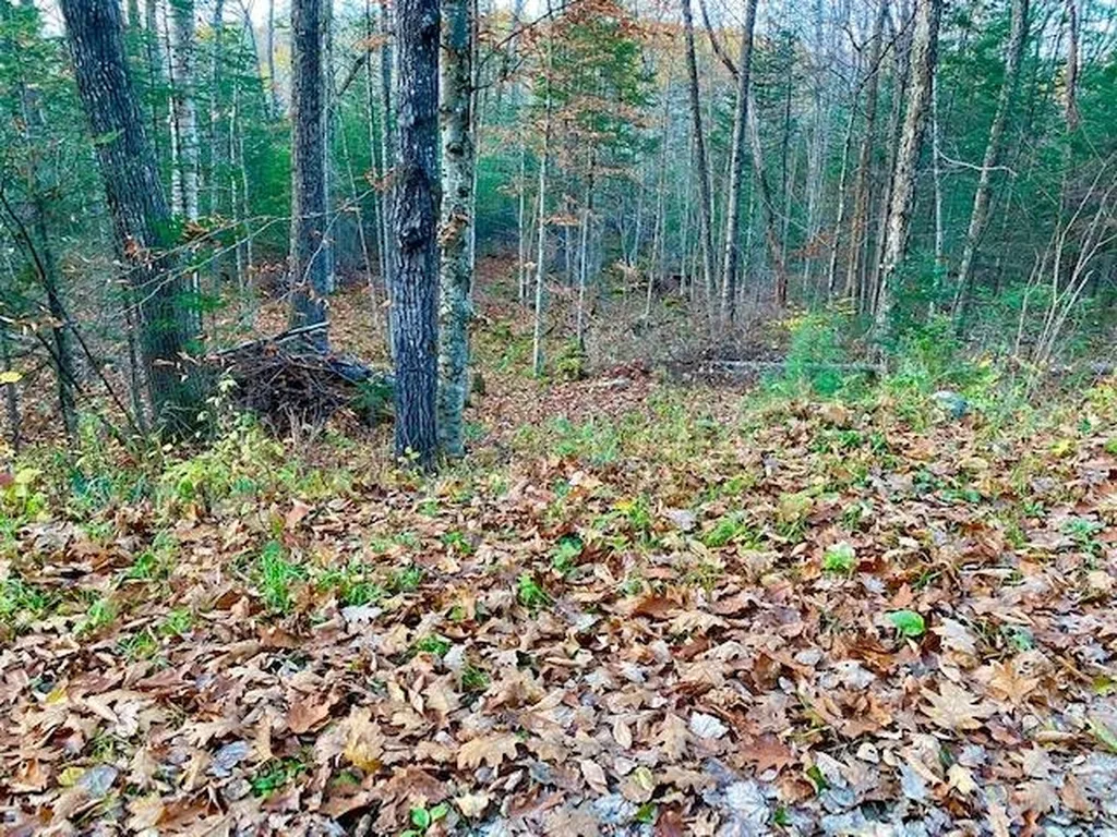 156 Valley Road Haverhill NH 03785
