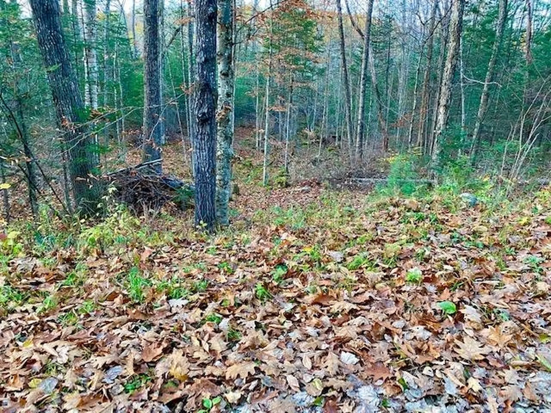 156 Valley Road Haverhill NH 03785