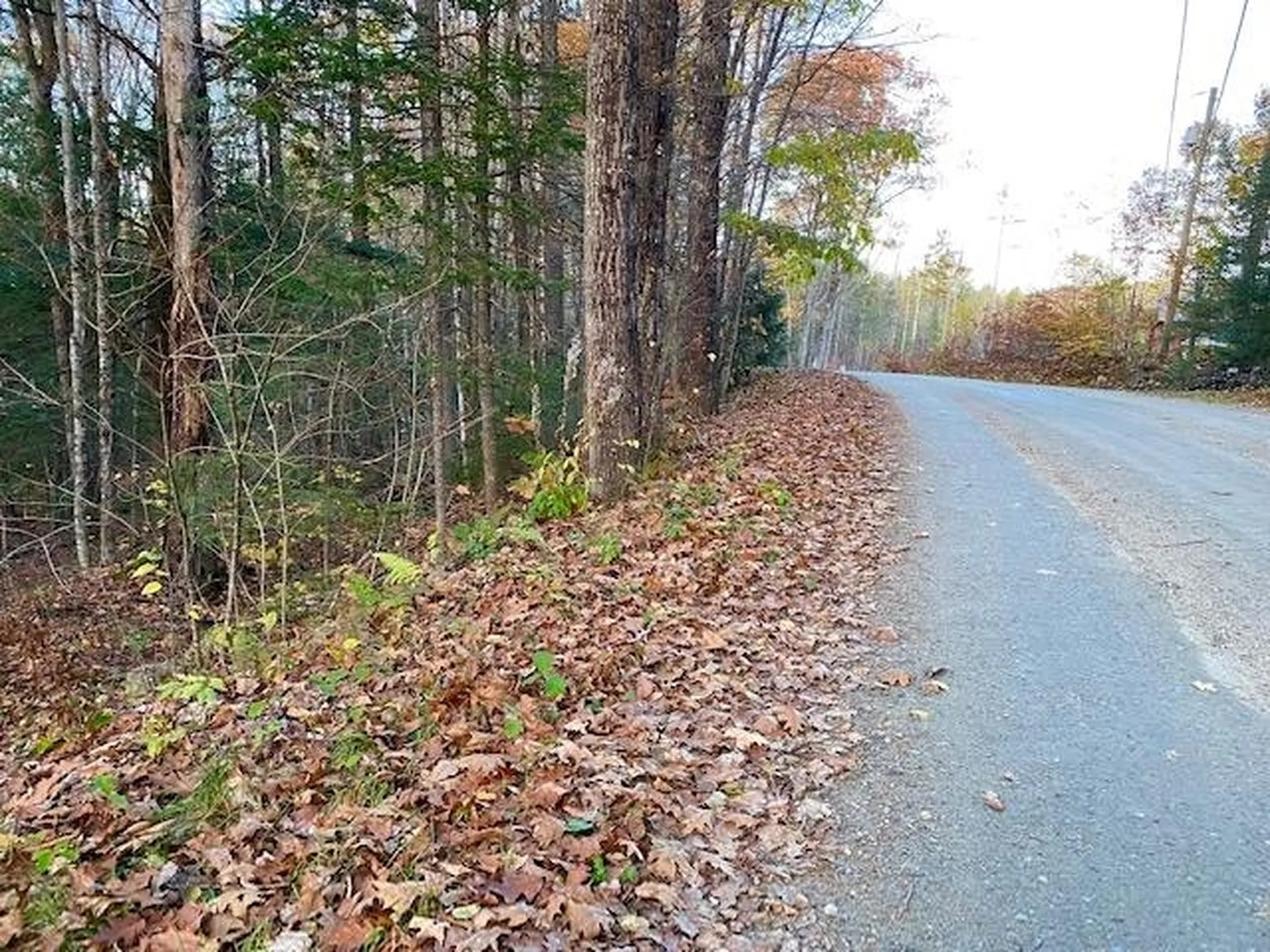 156 Valley Road Haverhill NH 03785