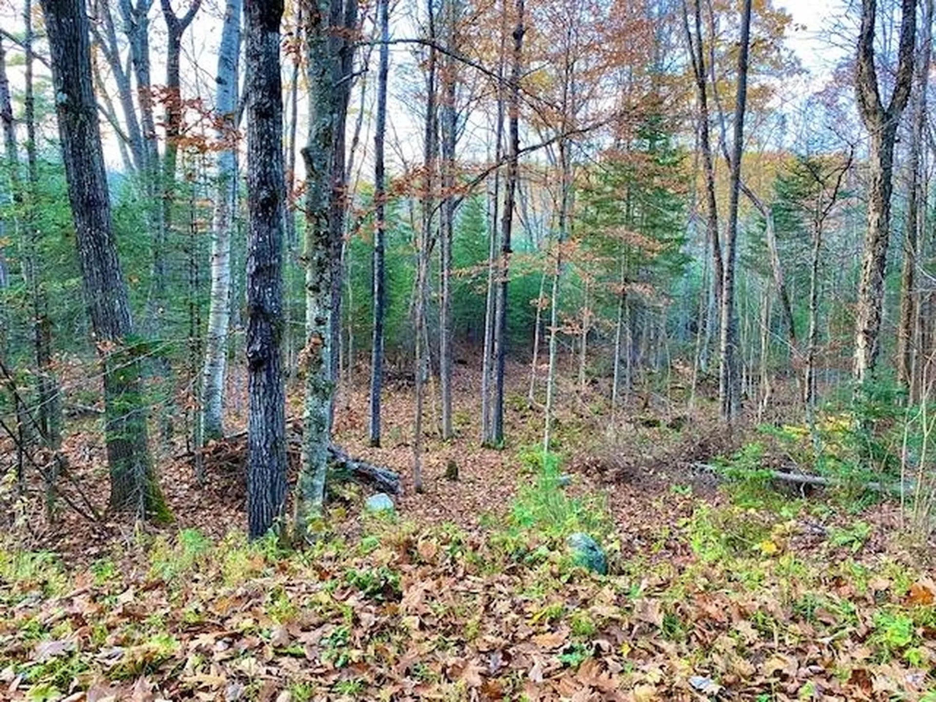 156 Valley Road Haverhill NH 03785