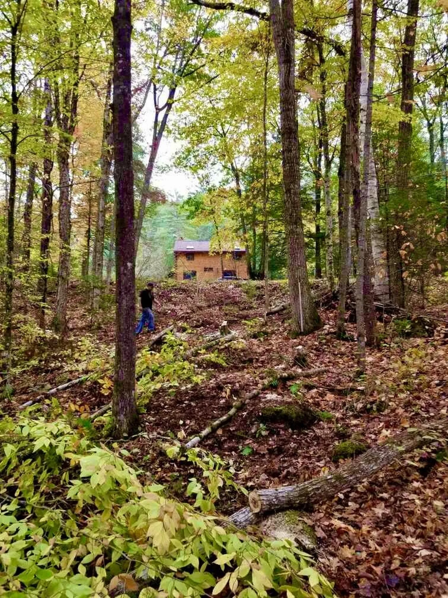156 Valley Road Haverhill NH 03785