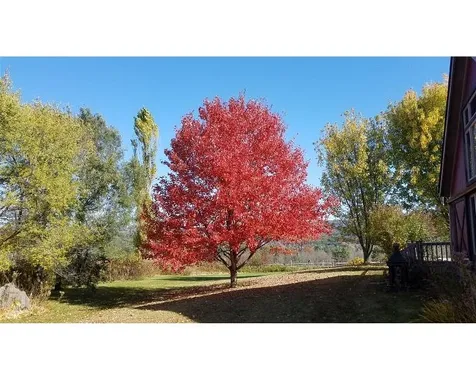 468 Calavant Hill Road Charlestown NH 03603