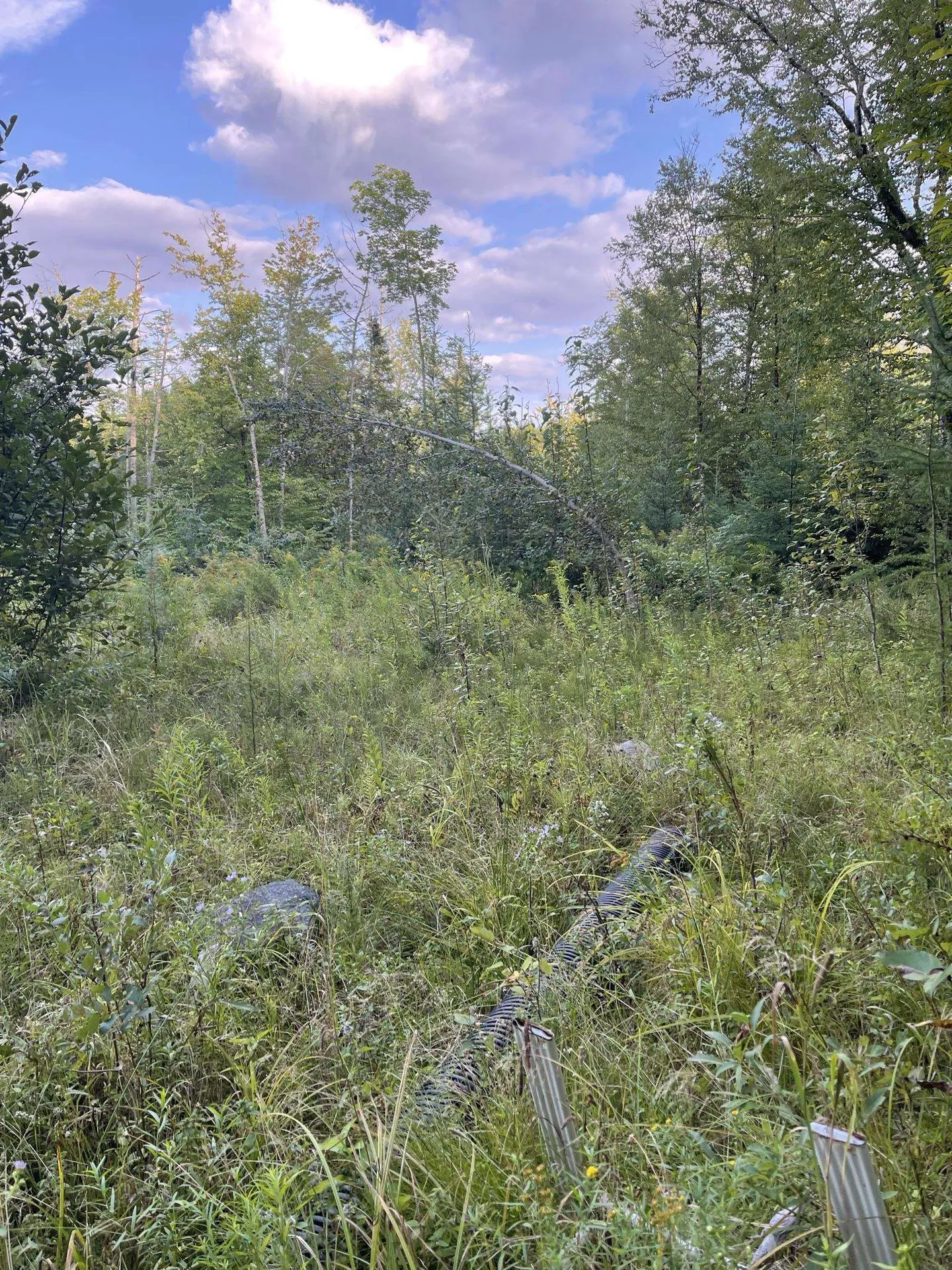 0 Baptist Hill Road Lunenburg VT 05906