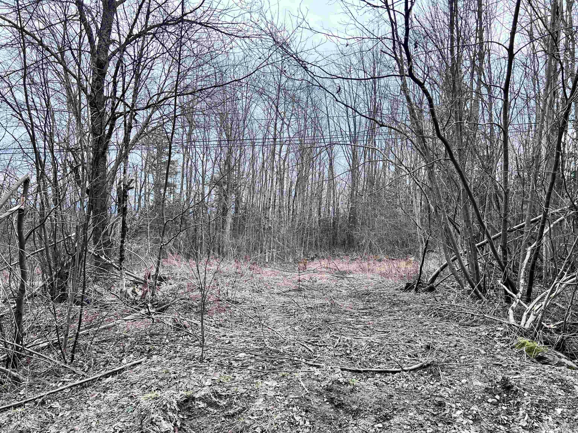 0 Baptist Hill Road Lunenburg VT 05906