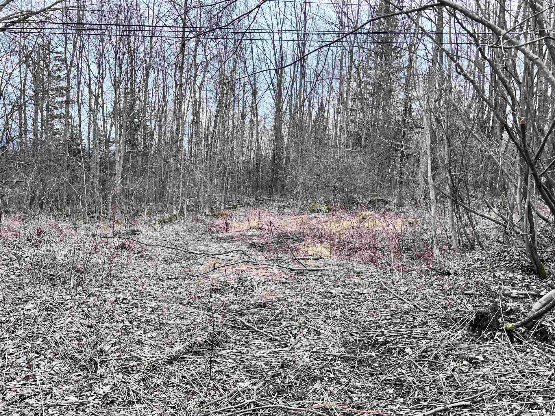 0 Baptist Hill Road Lunenburg VT 05906