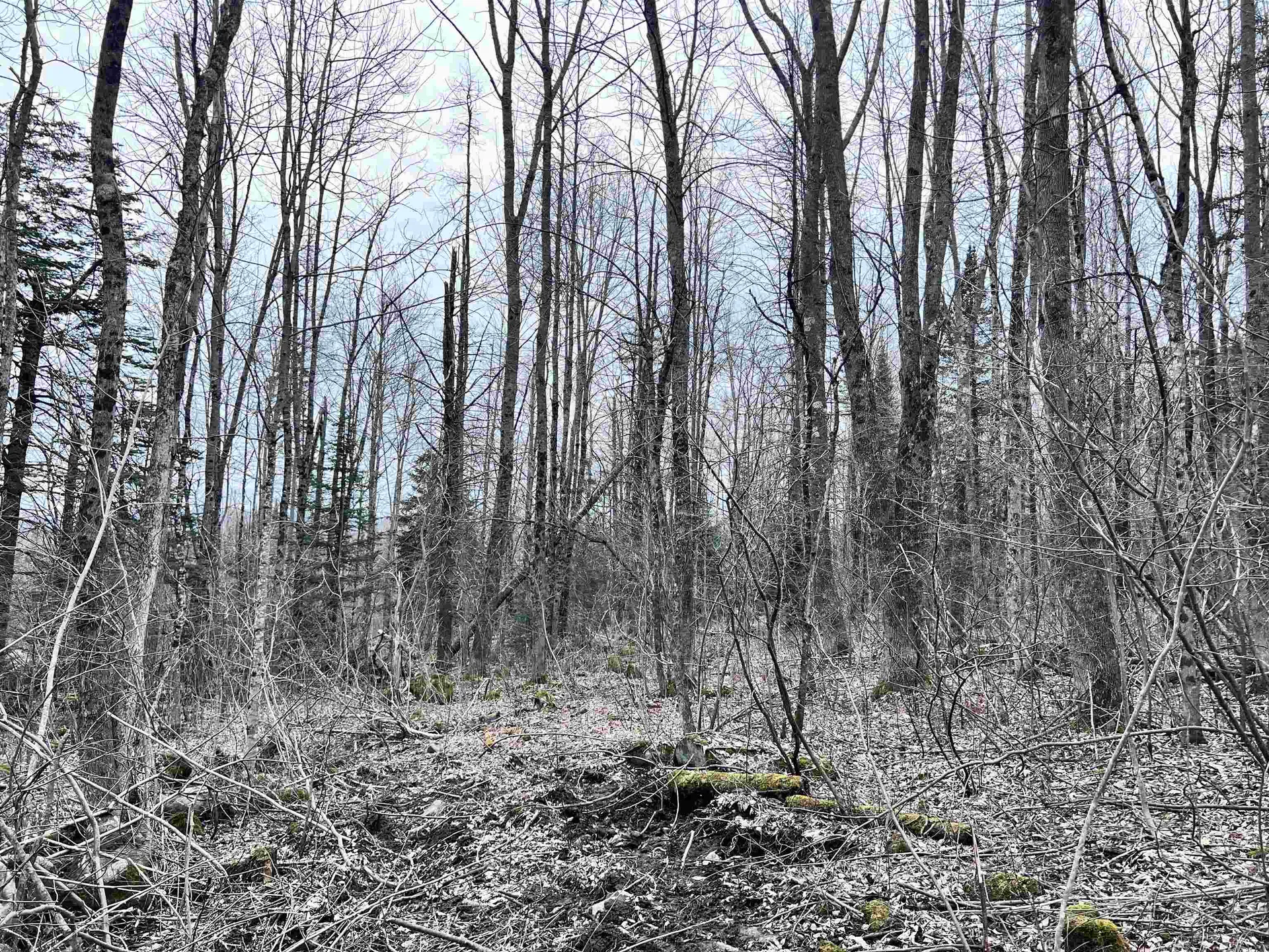 0 Baptist Hill Road Lunenburg VT 05906