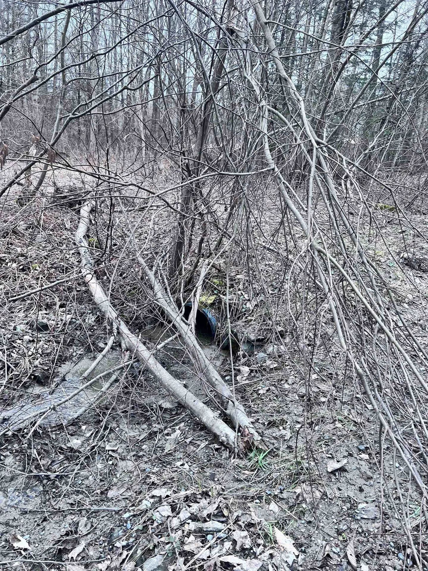 0 Baptist Hill Road Lunenburg VT 05906