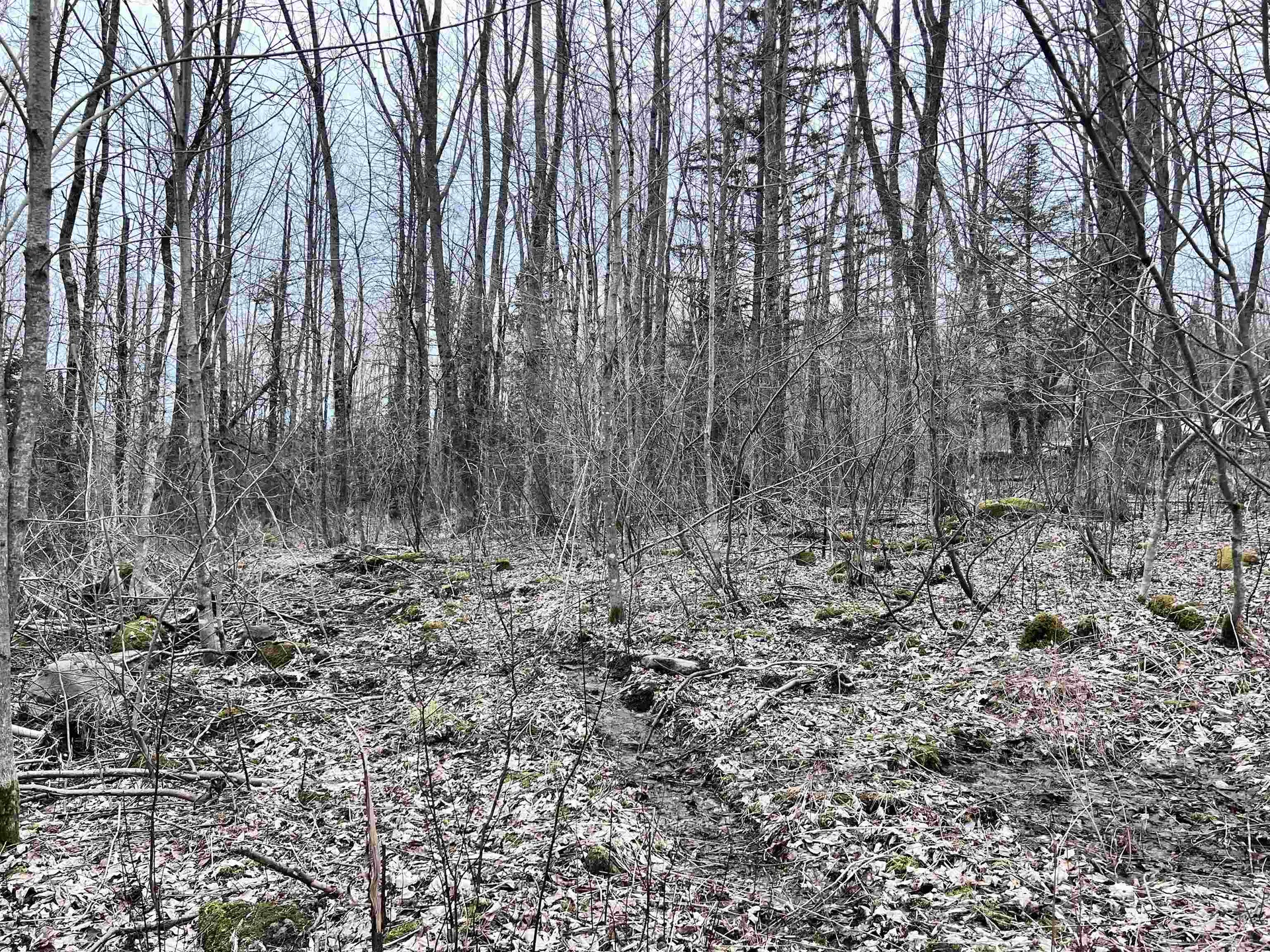 0 Baptist Hill Road Lunenburg VT 05906