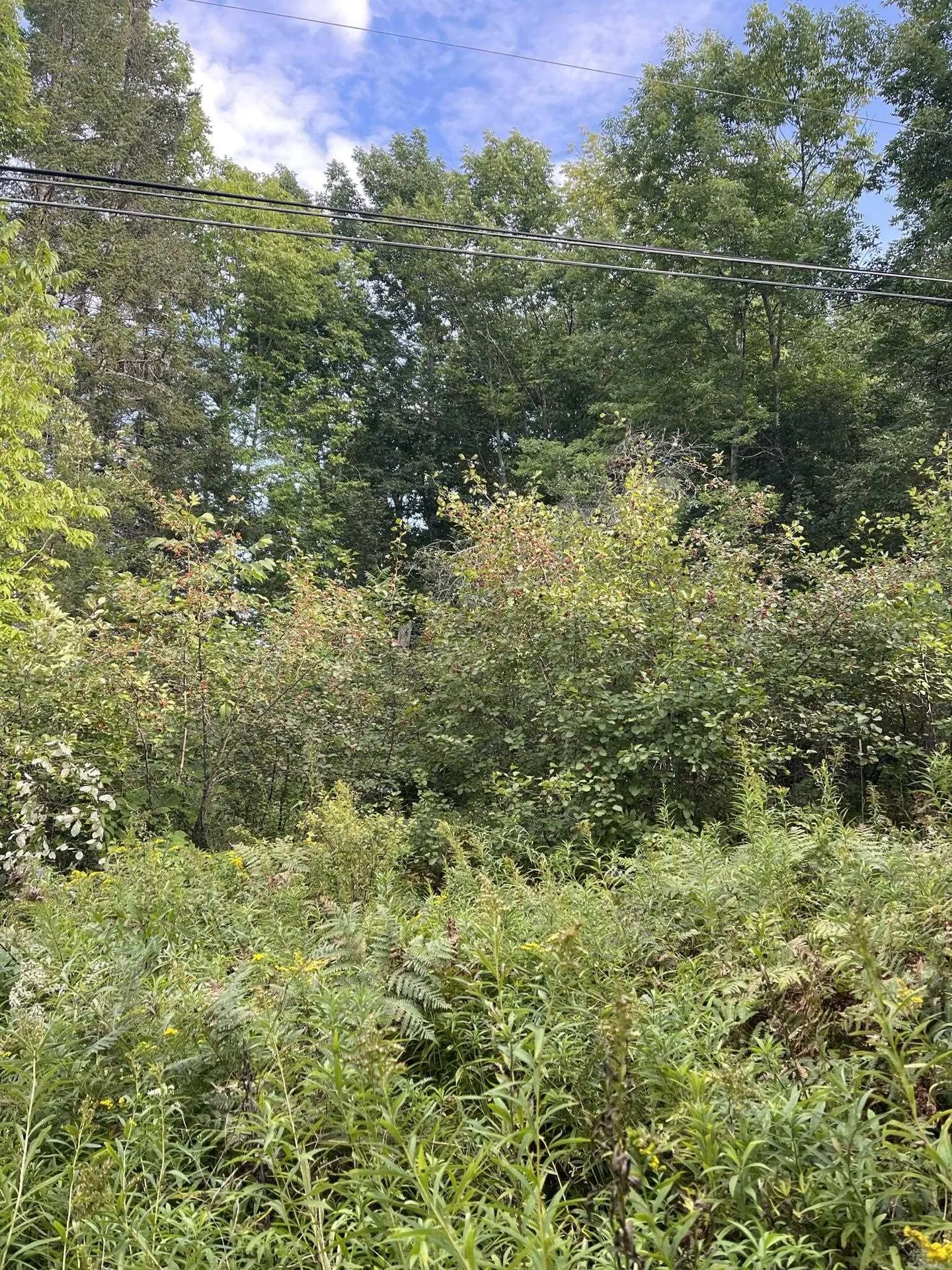 0 Baptist Hill Road Lunenburg VT 05906