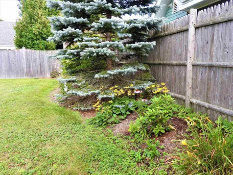 17 Fellows Street Concord NH 03301