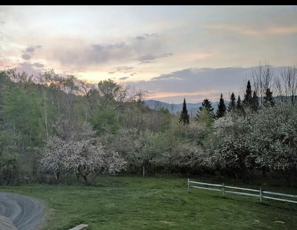 1541 Tucker Hill Road Fayston VT 05673