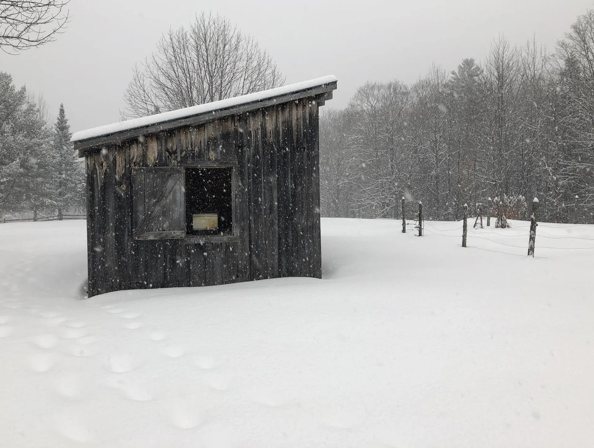1541 Tucker Hill Road Fayston VT 05673