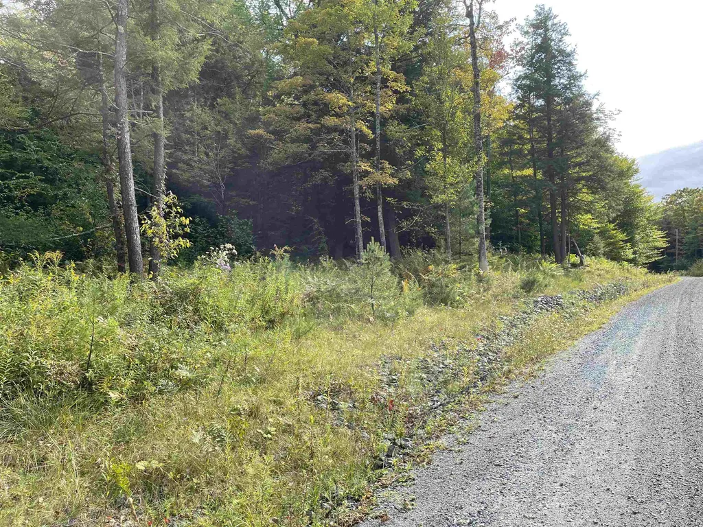 0 Rabbit Hill Way Woodstock VT 05091